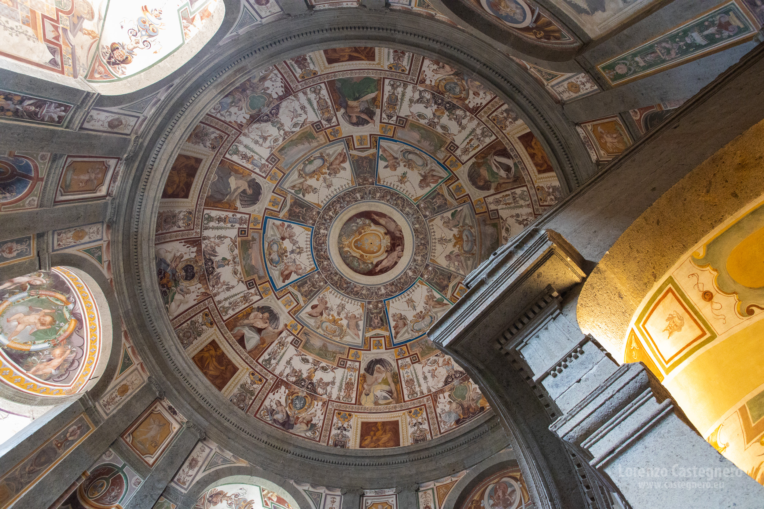 Immagine 6