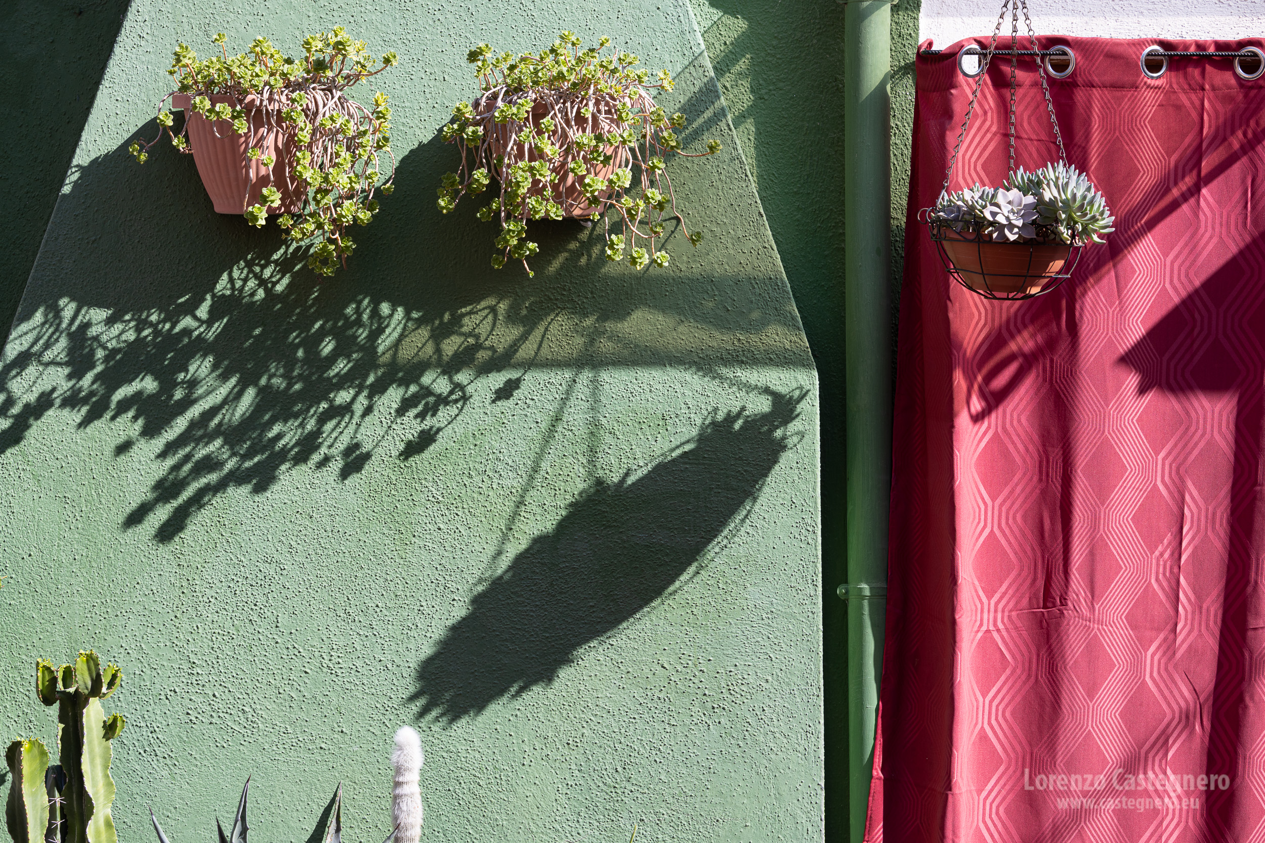 Immagine 2