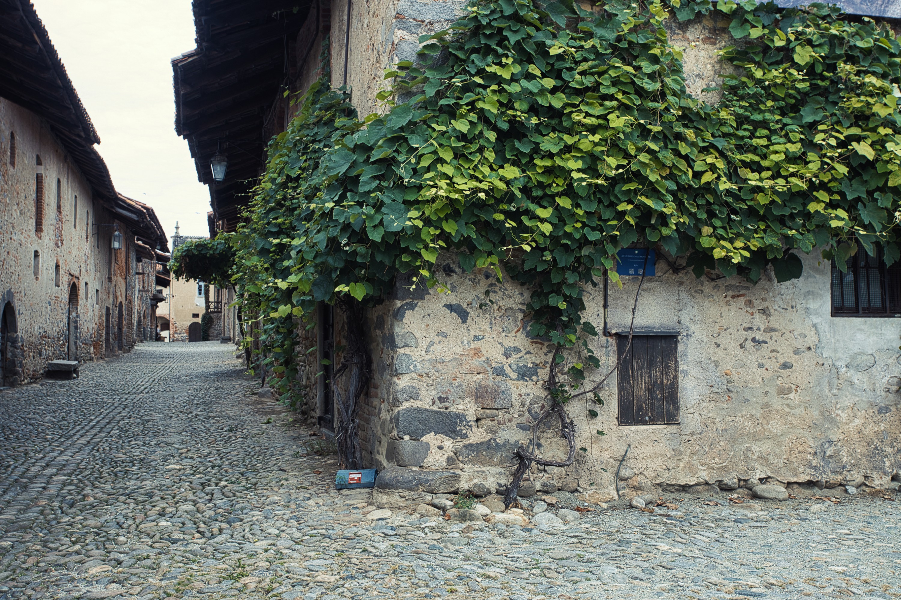 Immagine 2