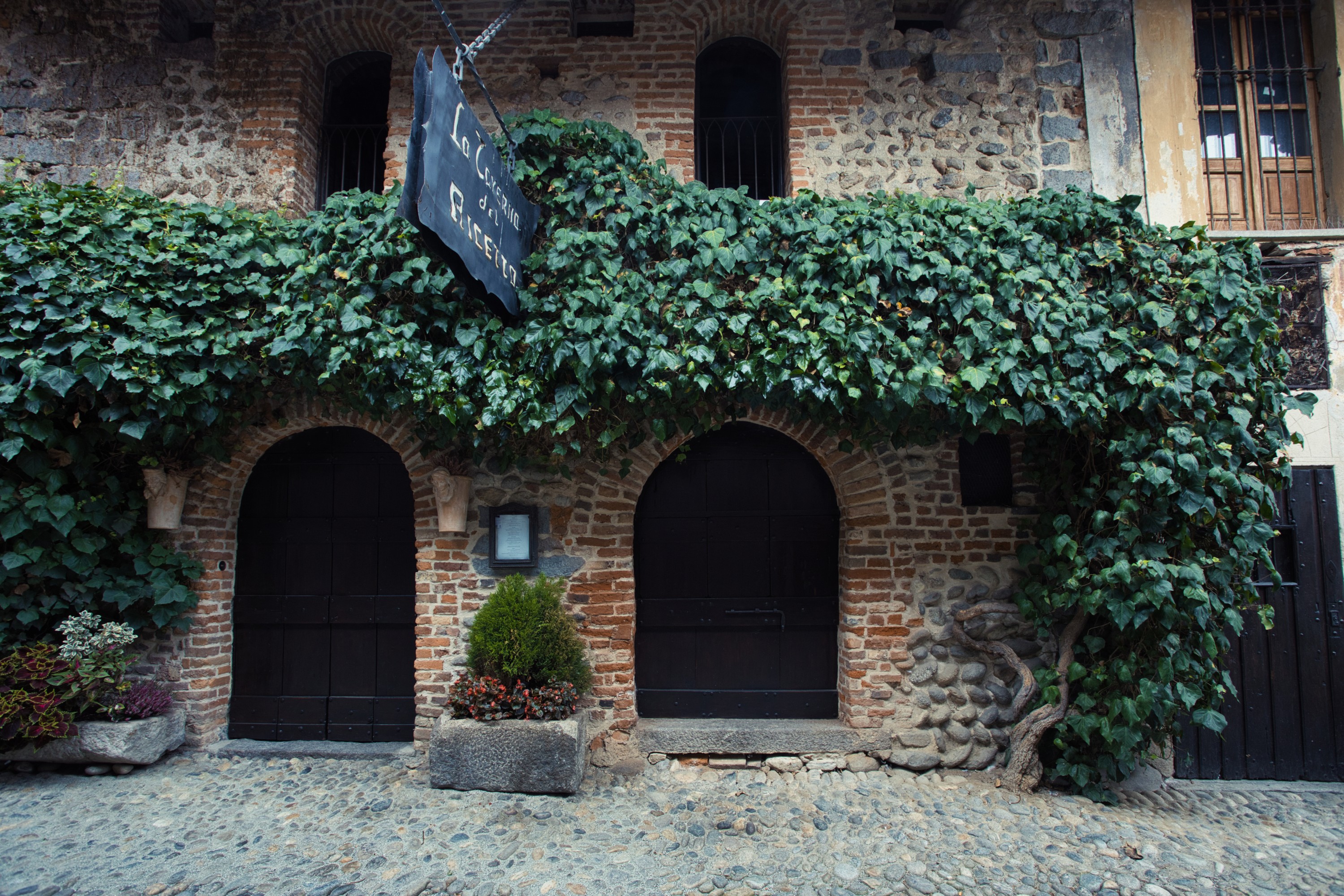 Immagine 2