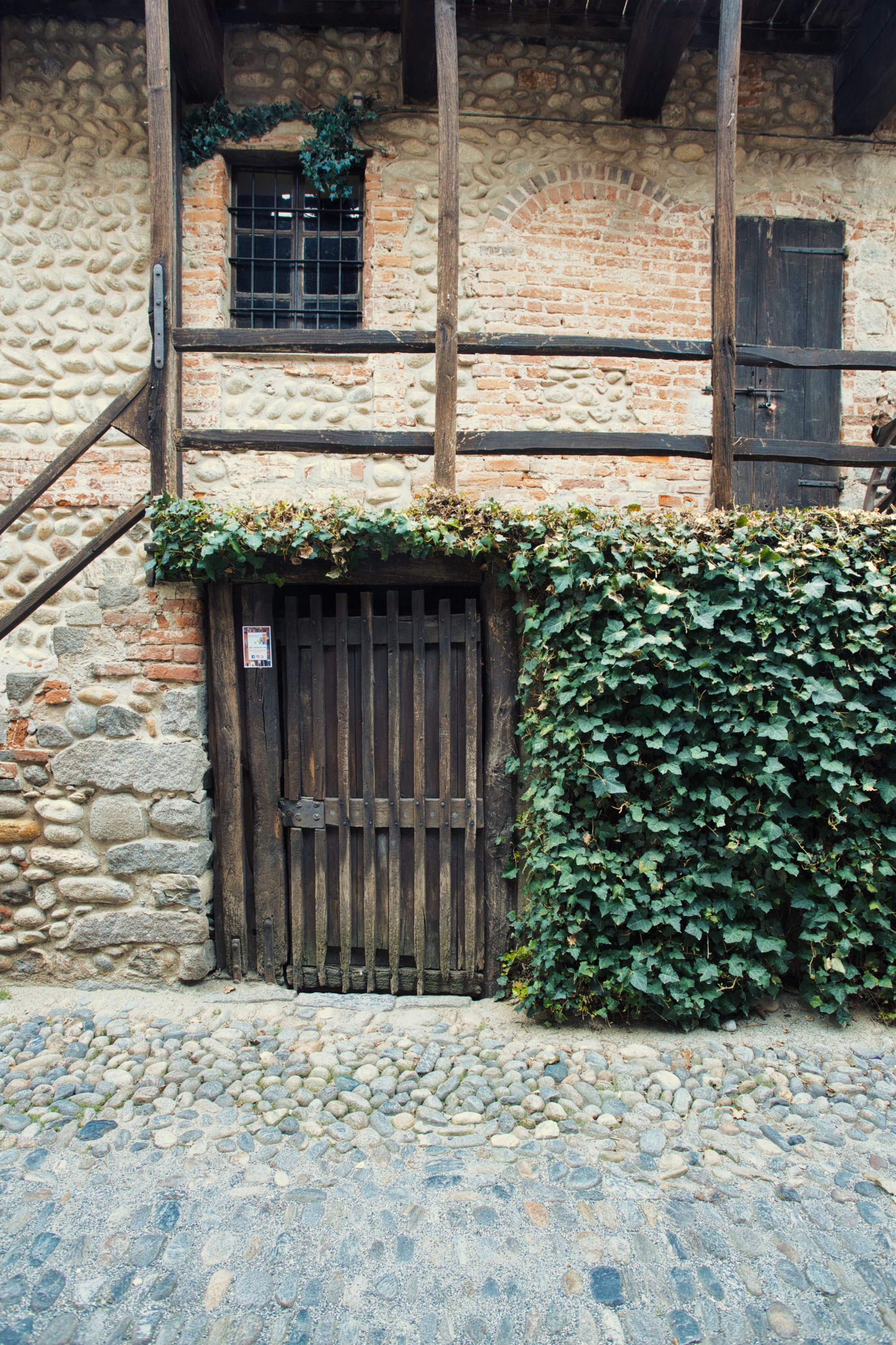 Immagine 2