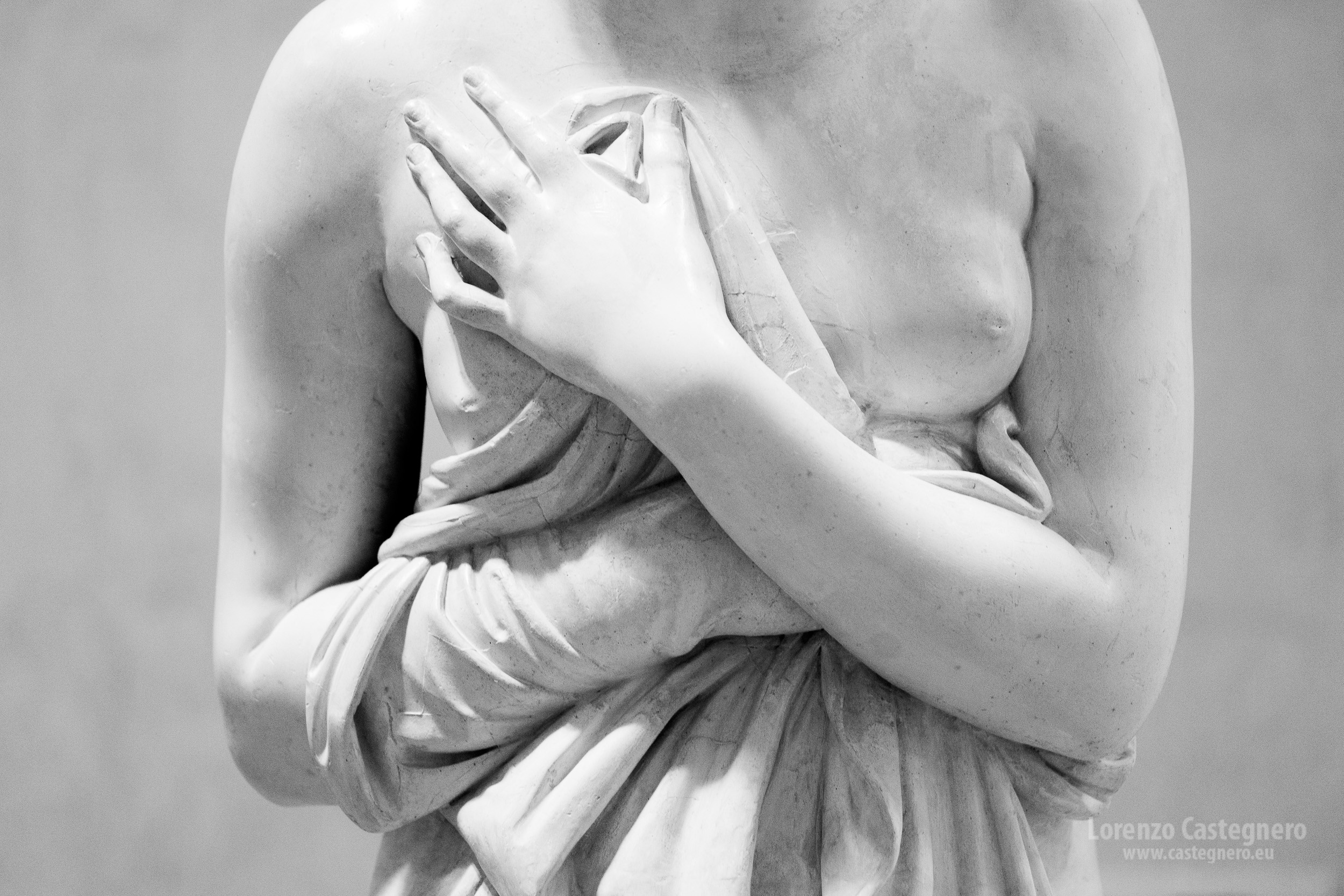 Immagine 7
