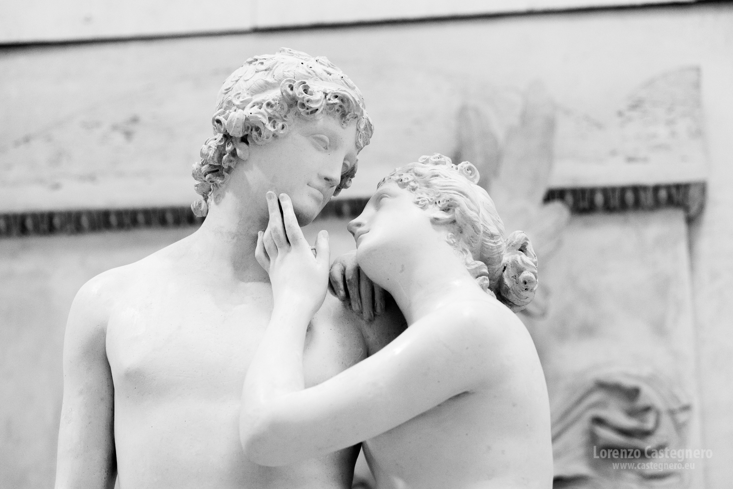 Immagine 8